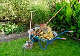 Na kompost zbieramy chwasty, ściętą trawę, obierki oraz opadłe liście.