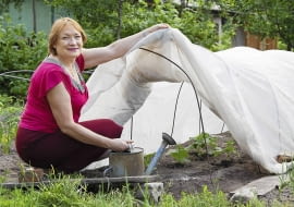 Niski tunel z agrowłókniny chroni warzywa przed zimnem i przyspiesza ich wzrost. Zdejmujemy go, gdy nadejdą ciepłe dni.