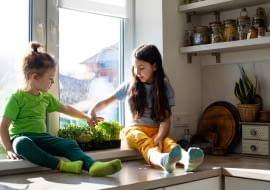 Kiełki i mikrolistki