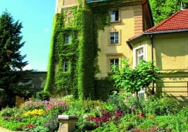 Fragment zamku w Łańcucie z wieżą porośniętą winobluszczem. U jej stóp widoczna rabata bylinowa i zegar słoneczny.