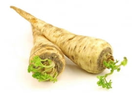 Pietruszka korzeniowa w donicy daje sporo naci