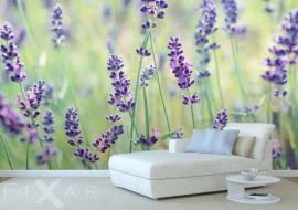 tapeta w kwiaty, fototapeta, tapetowanie