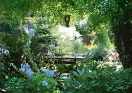 Ogród musi mieć nastrój - tutaj budują go kontrasty światła i cienia, oraz dobrane do tych warunków zestawy roślin.