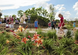 PŁYTKI STRUMIEŃ otoczony kępami tataraku i kwitnących liliowców zachęca do taplania się w wodzie.