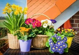 WIOSENNA aranżacja mieszkania i balkonu