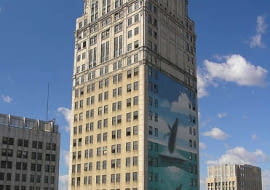 David Broderick Tower