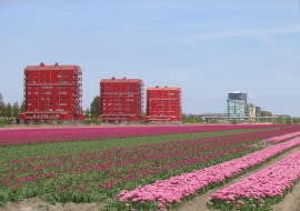 Almere, źródło: wikipedia.org