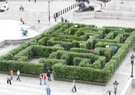 Zielony labirynt na Trafalgar Square w Londynie