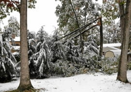 Połamane gałęzie to wynik obfitych opadów mokrego ciężkiego śniegu i silnego wiatru.