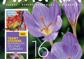 Okładka miesięcznika Kwietnik 11/2011