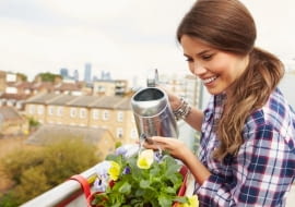 W długi weekend skrzynki z kwiatami warto zaopatrzyć w system nawadniania.