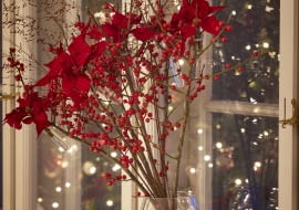 Bukiet poinsecji pełen blasku