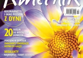 Kwietnik - numer październikowy