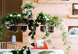 Stefanotis, gardenia i jaśmin na wiszącym stelażu towarzysząc domownikom w posiłkach, napełniają jadalnię cudownym zapachem.