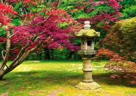 W takiej kamiennej latarence wieczorami można palić świeczki.