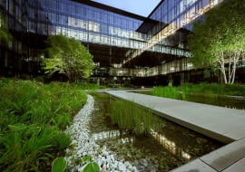 Golden Star Group stawia na zielone środowisko pracy