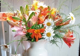 ~]l^6%ntGSWe5csrleBHx7M]TfYn>=/m_XcKv^eIek&fK=_we