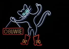 Neonowy kot w Warszawie, ze zbiorów Muzeum Neonów