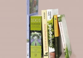 07.10.2008 KSIAZKA FOT. LUKASZ FALKOWSKI / AGENCJA GAZETA SLOWA KLUCZOWE: KSIAZKI