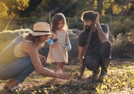 Wiosenne porządki: jak przygotować dom i ogród na nowy sezon?