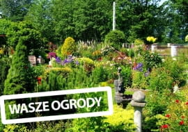 Ogród Państwa Katarzyny i Artura Klara