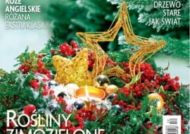 Ogrody - numer grudniowy