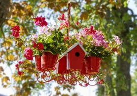 Pelargoniowy żyrandol z domkiem dla ptaków i owadów