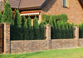 18.08.2009 - JAROCIN - WRZOSOWA 26 - WLASCICIEL MICHAL SZWALEK FOT. BRUNO FIDRYCH +48 600 83 82 82