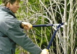 ONE TIME USE ONLY DO JEDNOKROTNEJ PUBLIKACJI OGRODNICTWO WIOSNA PRZYCINANIE KRZEWOW OZDOBNYCH I DRZEW NARZEDZIE SEKATOR DO DRZEW I KRZEWOW FOT. SERWIS PRASOWY FIRMA FISKARS PUBLIKACJA KWIETNIK NR 3 (147) - 3 2007