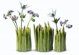 <B>Rozwijają się po cichu, niepostrzeżenie. I nagle się okazuje, że wnętrze jest całe w kwiatach! Nie bądźmy więc zaskoczeni, gdy po powrocie do domu przyjdzie nam zawiesić płaszcz na wyjątkowo wyrośniętym krokusie.</B> <BR />Wazony, kamionka, od 159 zł, Fabryka Form.