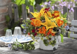 Gemuese - Kraeuter - Strausss in altem Emaille -Topf : Blueten von Zucchini ( Cucurbita ), Tropaeolum ( Kapuzinerkresse ), Fenchel ( Foeniculum ), Tomaten ( Lycopersicon ), Karottengruen ( Daucus ), Bohnenblueten ( Phaseolus ) SLOWA KLUCZOWE: Str u?e gelb TERRASSE ZWECKENTFREMDET ORANGE FARBE rot HAUSHALTSGERAET essbare Bl´ten TISCH 000 msgnp13 draussen quer FLORISTIK Sommer