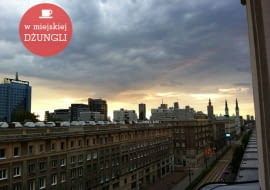 w miejskiej dżungli, ciekawe miejsca