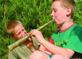 Koncert na trąbę z... kory