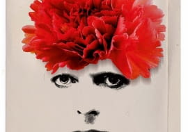 Jacek Staniszewski, David Bowie