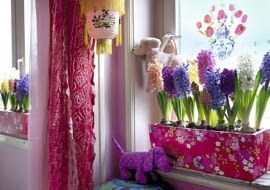 Wielokolorowa kompozycja z różnych odmian hiacyntów. Taki barwny miszmasz świetnie pasuje do dziecięcego pokoju