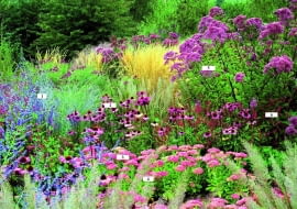 *** Local Caption *** 00119148