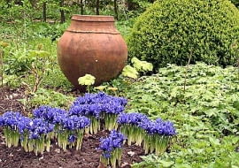 28.04.2003 HOLANDIA WYJAZD BIURO CEBULKOWE HOLANDIA OGROD PRYWATNY ALDENHAEVE WLASCICIEL PANSTWO SIEBELINK KRZEWY LISCIASTE BUKSZPAN BUXUS BYLINY ROSLINY CEBULOWE IRYS IRIS CERAMIKA GLINA AMFORA FOT PAWEL SLOMCZYNSKI / AGENCJA GAZETA