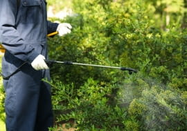 Opryskiwacz do ochrony roślin