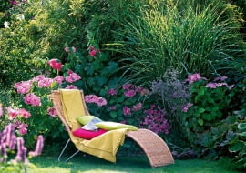 Fargesia murieliae (Schirmbambus) Miscanthus Zebrinus Strictus (Stachelschweingras) Hydrangea (Hortensie), Alcea (Stockrose) Eryngium (Edeldistel), Korbliege