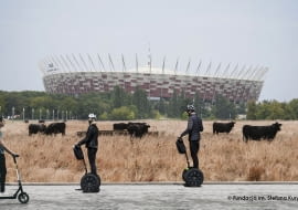 "Wieśland, czyli miejska fantazja kryta strzechą”. Proj. Jan Szeliga i Krzysztof Janas.