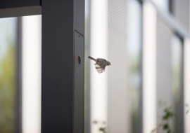 'Lampa w ciąży' - w jednej z lamp stojącej przy biurowcu Za bramką w Poznaniu zalęgły się sikorki