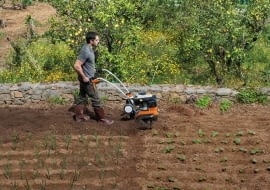 Jesienne przekopywanie gleby