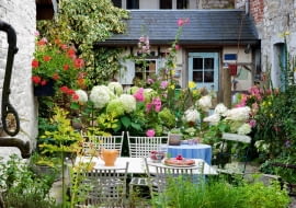 Idylla wśród kwiatów - ogródek pełen kwitnących hortensji bukietowych, malw i pelargonii (w wiszącej donicy) przypomina kolorowy bukiet.