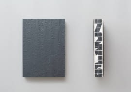 Książka 'Dziennik podróży' Bolesława Stelmacha