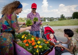 Rowerowe Rozdanie Roślin