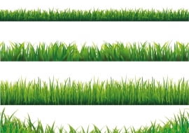 Od góry: Trawnik sportowy (1-2,5 cm) jest gęsty i elastyczny, bardzo szybko odrasta, ale musi być często koszony, podlewany i nawożony. Ozdobny (3-3,5 cm) - krótko przycinany zagęszcza się i pięknie wygląda, ale jest delikatny. Deptany słabo się regeneruje. Rekreacyjny (3-4) jest mniej urodziwy niż ozdobny, ale też mniej kłopotliwy niż sportowy. Można po nim chodzić. Parkowy (4-5 cm) - wolno rosnące kępki traw (cięte co miesiąc), są do podziwiania z daleka, a nie do częstych spacerów. Typu łąka (5-7 cm) to malownicza mieszanka traw i kwiatów, oaza dzikich stworzeń. Kosi się ją raz lub dwa razy w roku.