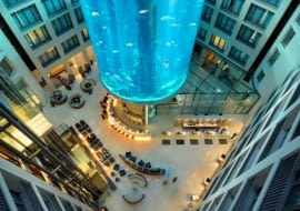 hotel, akwarium, design, radison