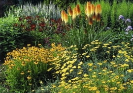 Rabata w kolorach słońca. Zółte kwiaty