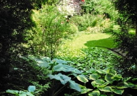 ZIELONY SALONIK JOANNY BRZOSTOWSKIEJ oglądany w porannym świetle wygląda jak teatralna scena, z bogatymi draperiami w przeróżnych odcieniach zieleni.