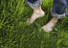 Jeśli bardzo lubimy spacery boso po trawie, wybierajmy godziny popołudniowe, kiedy kleszcze są najmniej aktywne.